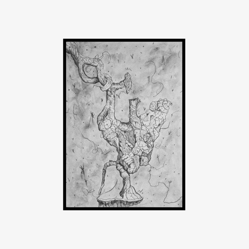 imaginary scape n5