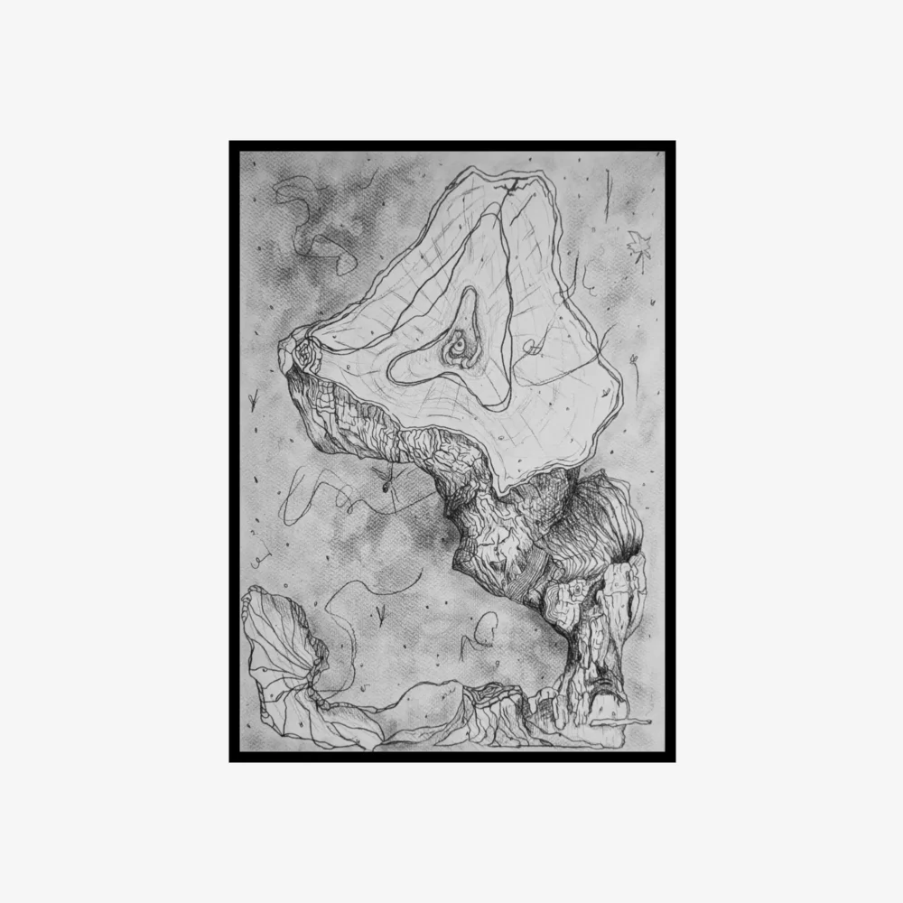 black and white surreal landscape