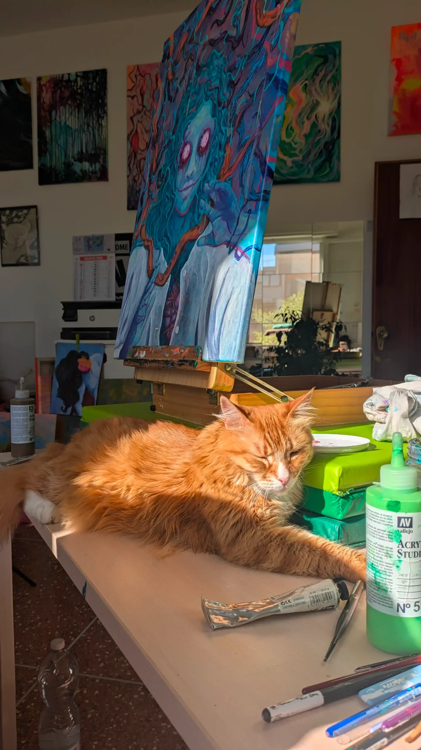 cat in the studio